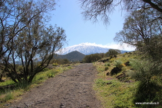 nte Egitto-29-04-2023 08-34-23